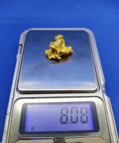 Gold Nugget