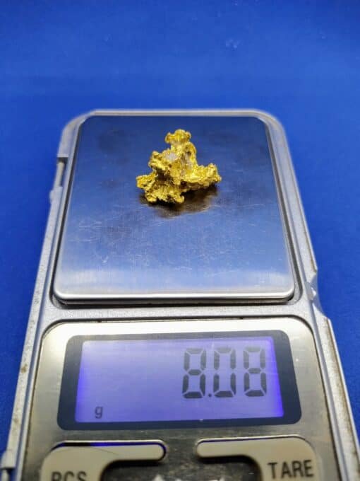 Gold Nugget