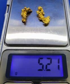 Gold Nugget