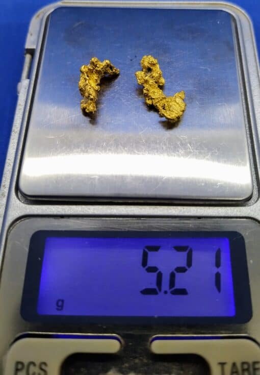 Gold Nugget