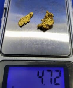 Gold Nugget