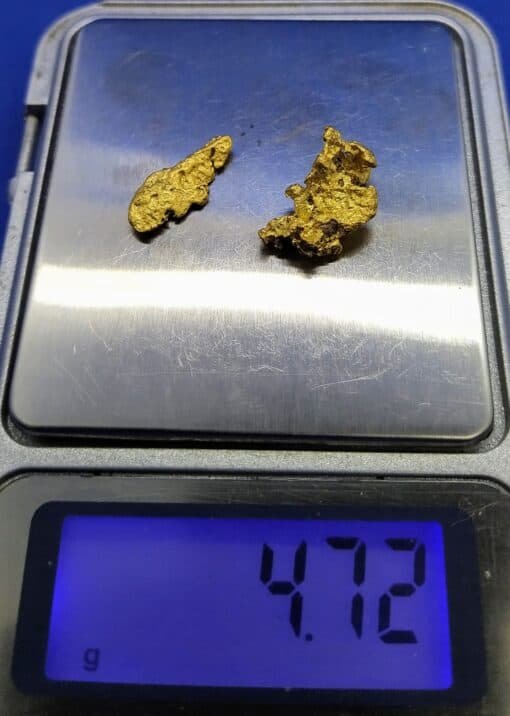 Gold Nugget