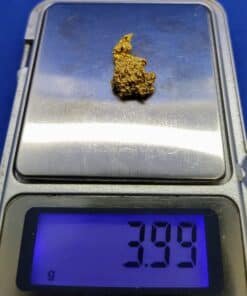 Gold Nugget