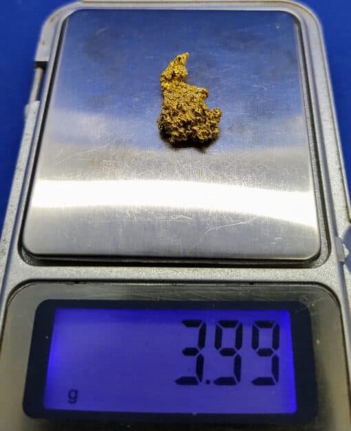 Gold Nugget