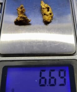 Gold Nugget