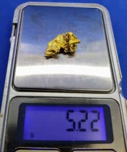 Gold Nugget