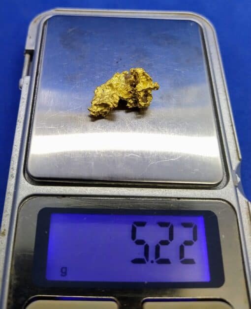 Gold Nugget