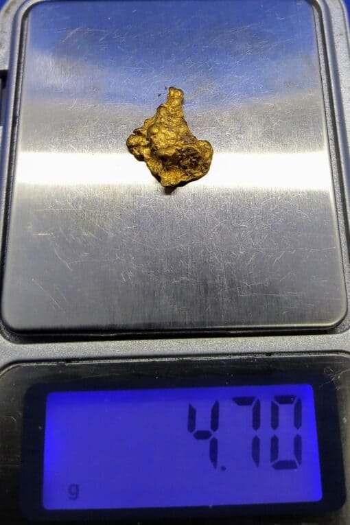 Gold Nugget