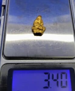Gold Nugget