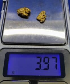 Gold Nugget